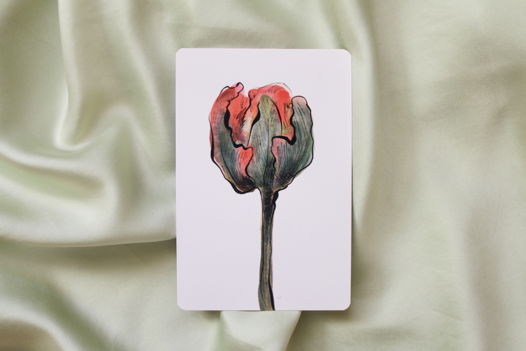 Открытка "Попугайный тюльпан", 10 х 15 см