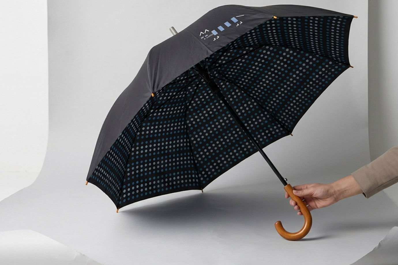 Двуслойный черный зонт с котом и паттерном