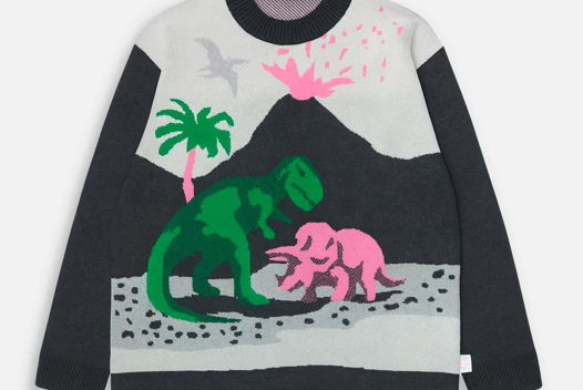 СВИТЕР DINO BATTLE CLUB СЕРЫЙ