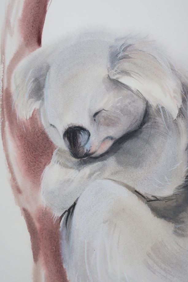 Спящая коала. Акварельная картина в детскую комнату
