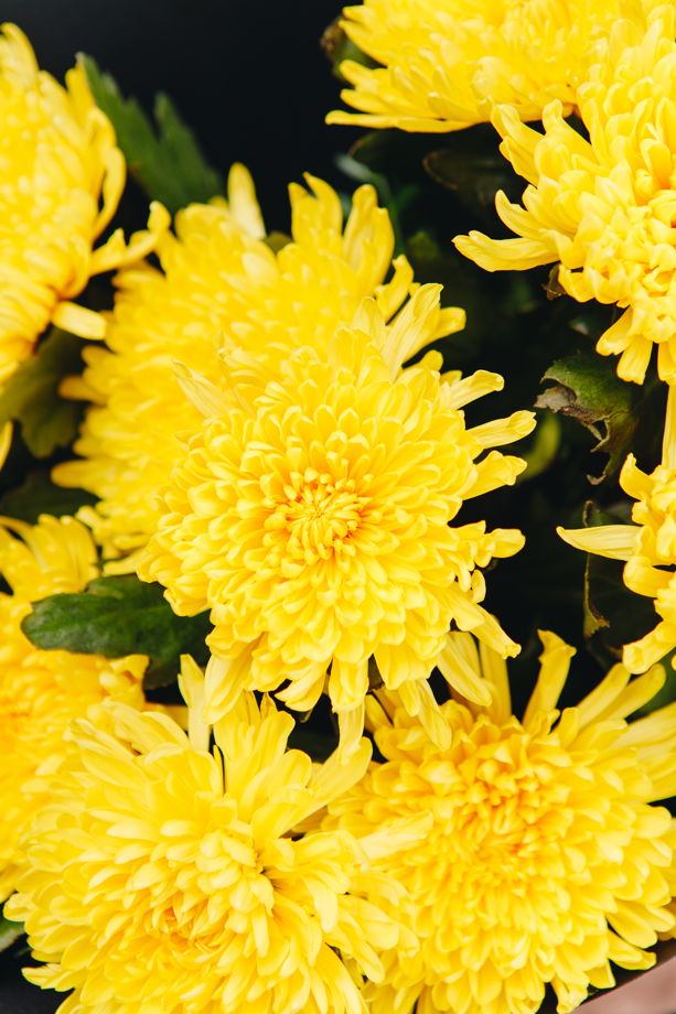 Монобукет из жёлтых хризантем "Солнечные блики"