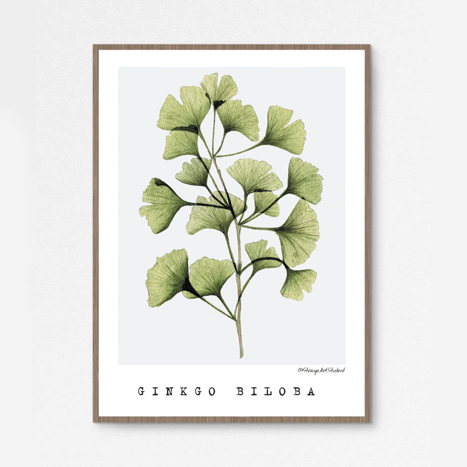 Набор печатных постеров "Прозрачные растения", 21х30см
