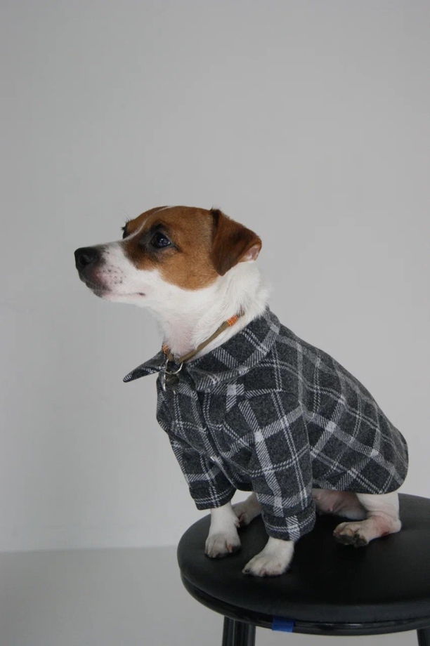 Рубашка "Джерси Black" для собак