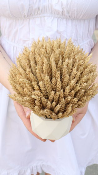 Гипсовое кашпо с пшеницей