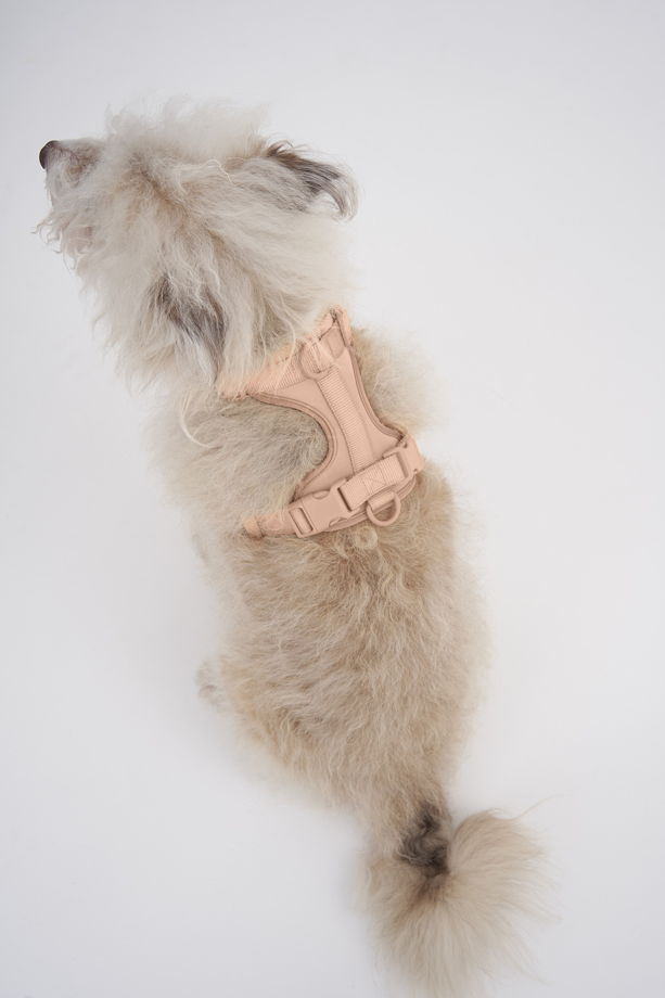 Воздушная шлейка для собак средних пород в цвете "Дикий беж", размер М