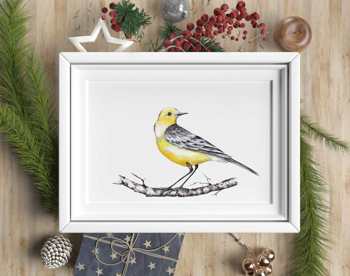 Лесная птичка желтоголовая трясогузка на березовой ветке. Акварельная  иллюстрация. Формат А4. в магазине «ArtWayNatlee» на Ламбада-маркете