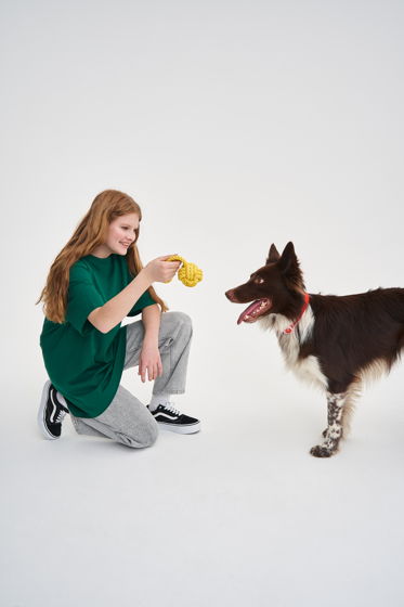 Веревочная игрушка для собак крупных и средних пород в цвете "Манго"