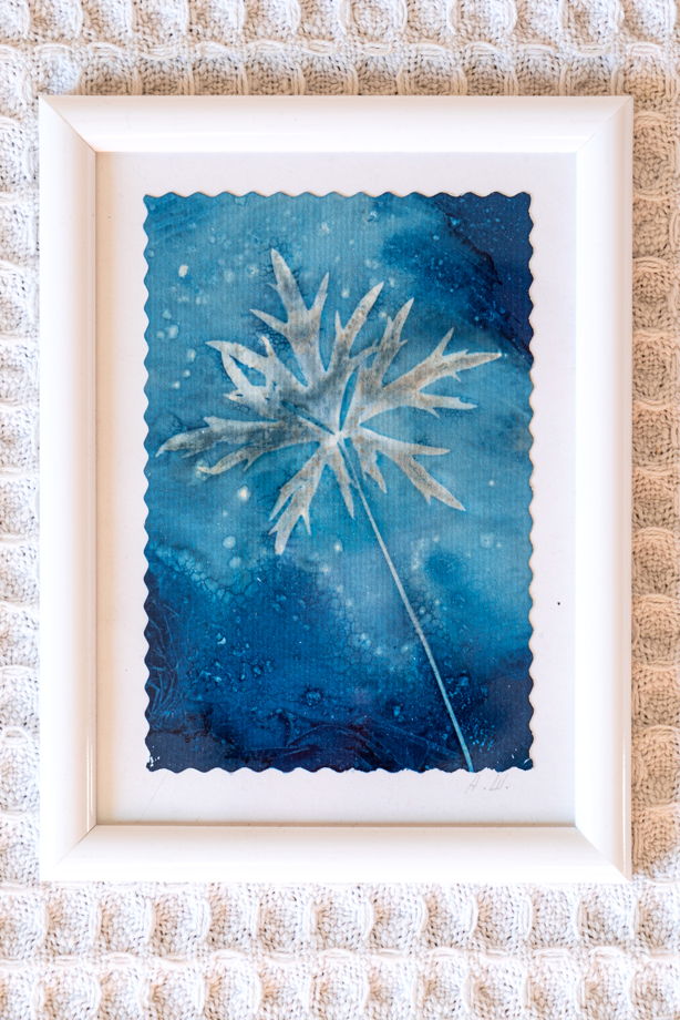 Фотограмма "Звезда в траве" в технике   wet cyanotype