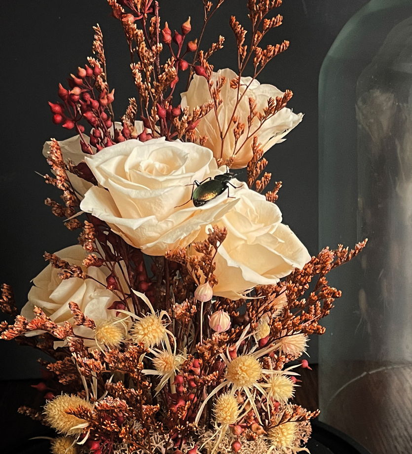 Клош с розами и жуком