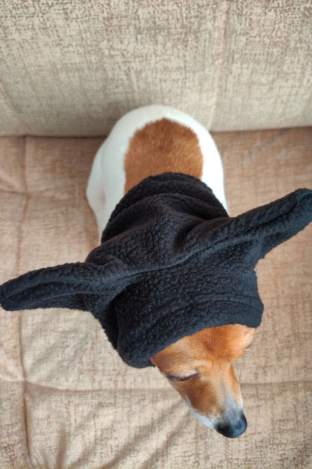 Черная и серая шапка-снуд с ушками из теплого флиса для собак