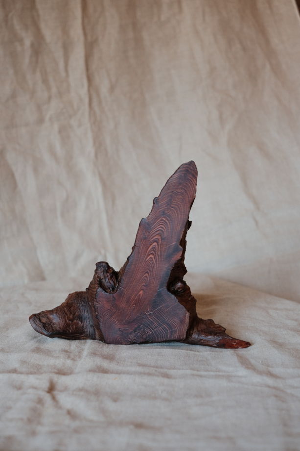 Интерьерный акцент из спила корня можжевельника