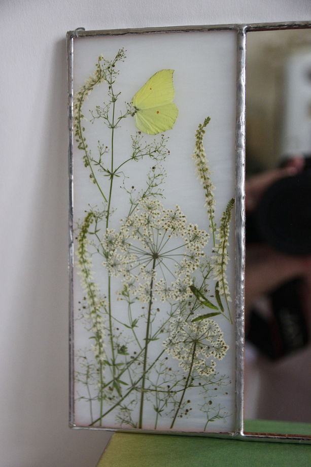 Интерьерное зеркало с гербарием