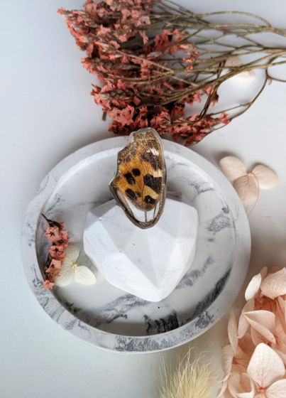 Универсальное кольцо Крыло бабочки