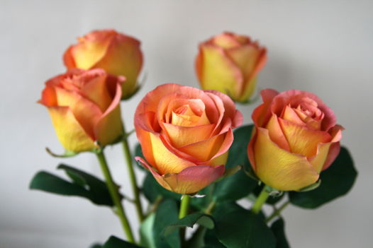 Желтые искусственные розы из фоамирана и холодного фарфора / Искусственные цветы для интерьера / Реалистичные желтые розы / Подарок для нее
