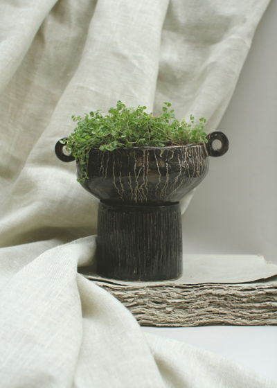 Комнатные растения: Солейролия в керамическом горшке с поддоном