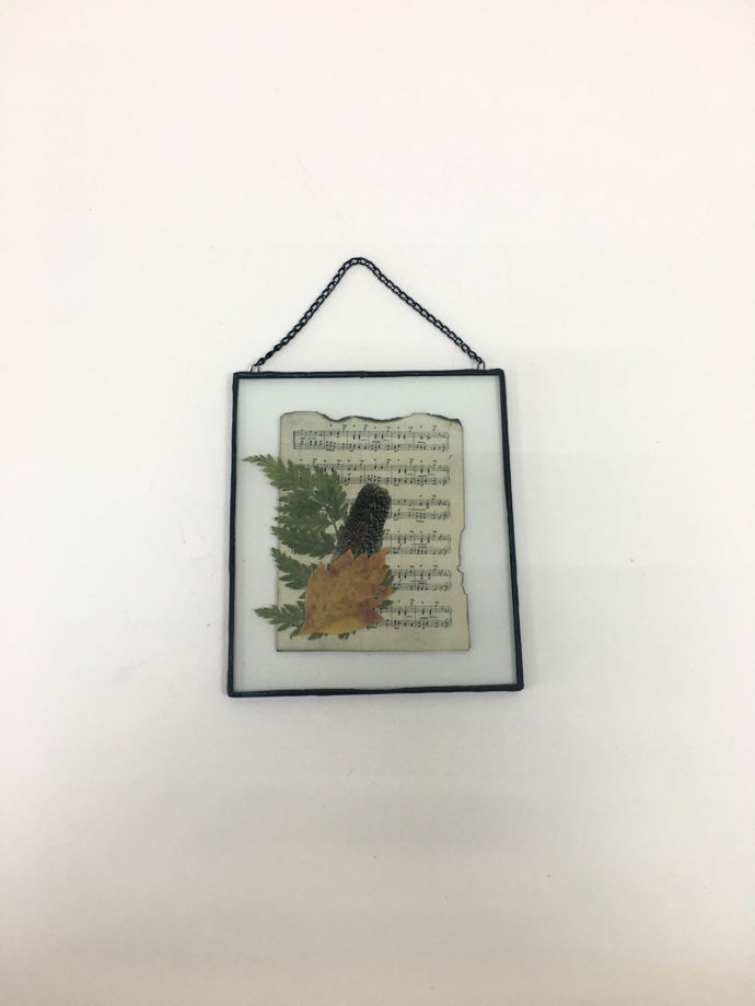 Гербарий в стекле с состаренным пергаментом и перьями