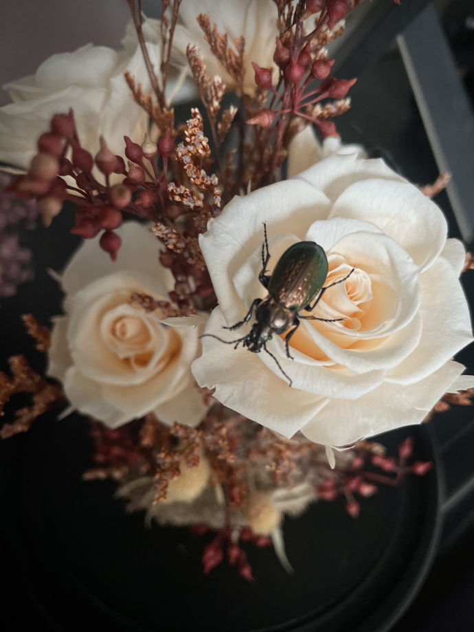 Клош с розами и жуком