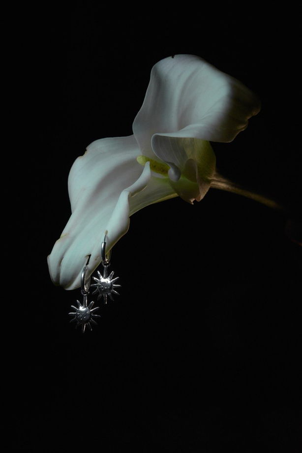 Сережки Aerin (солнце)