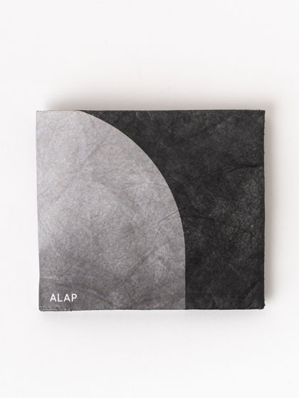 Бумажник ALAP для банкнот, карт, монет из тайвека чёрный