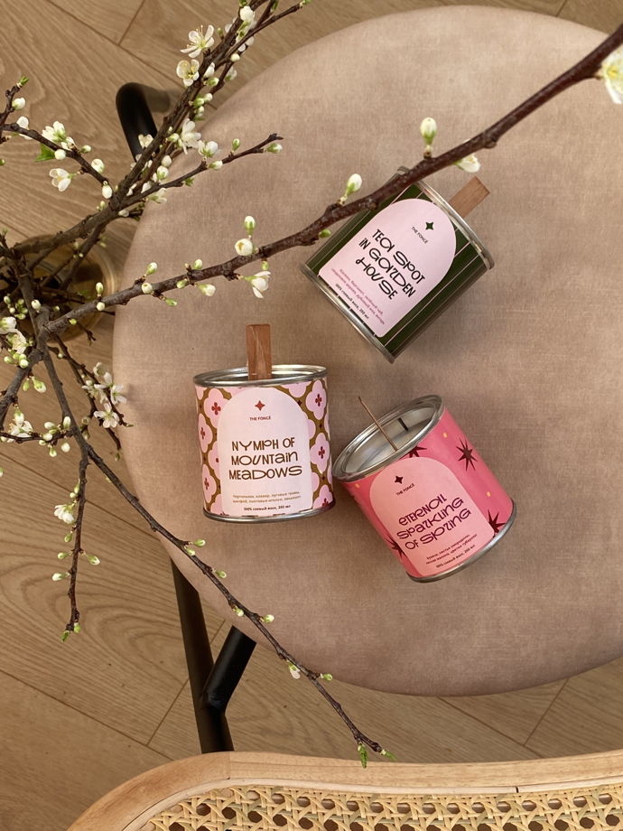 ВЕЧНОЕ СИЯНИЕ ВЕСНЫ [ETERNAL SPARKLING OF SPRING] // бузина, листья смородины, лесная малина