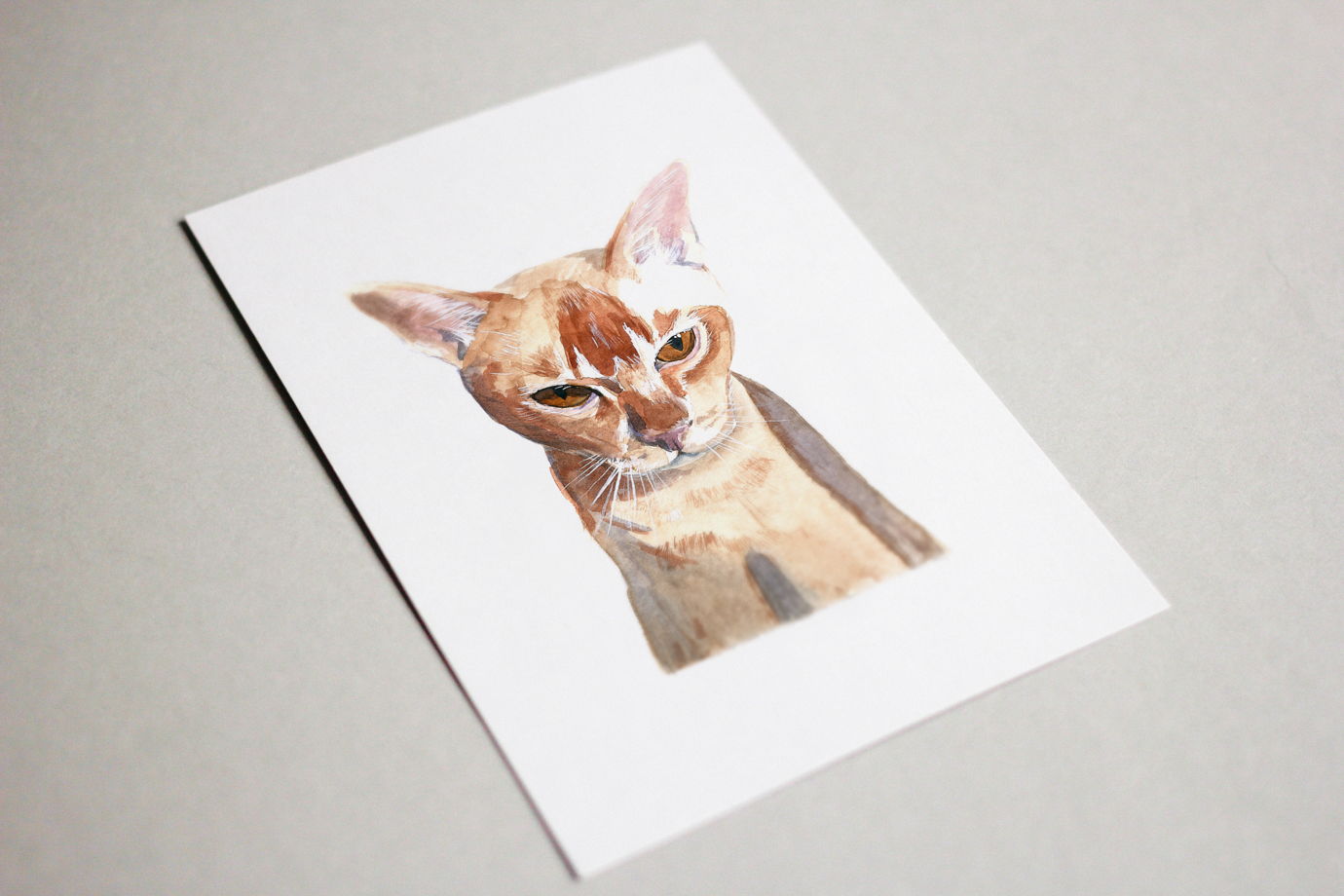Портрет кота акварелью "Бурма" (на заказ, по фото, любая порода)