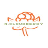 N.CLOUDBERRY