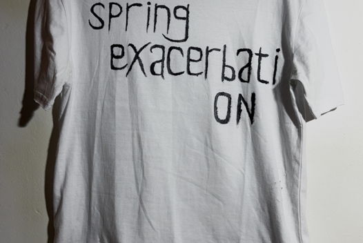 T-Shirt Spring Exacerbation | Футболка Весеннее Обострение
