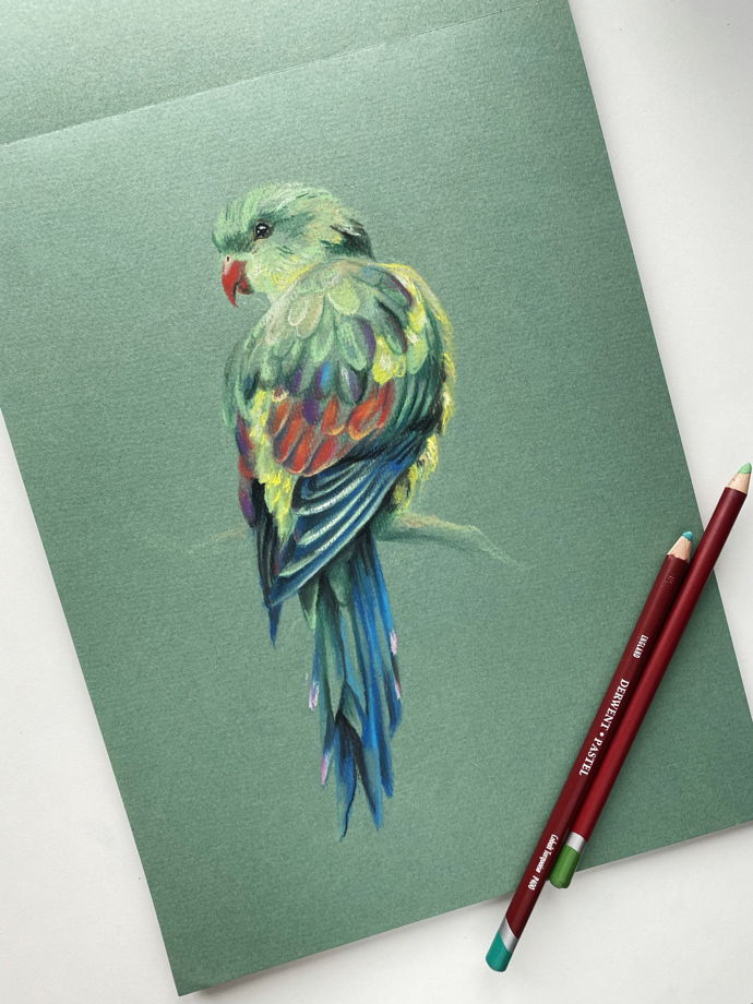 Рисунок пастелью "Попугай" птица на зеленом фоне в интерьер