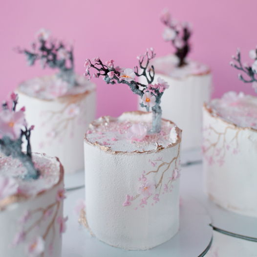 Бисквитный мини-торт с шоколадной цветущей сакурой от Наиры Сироян