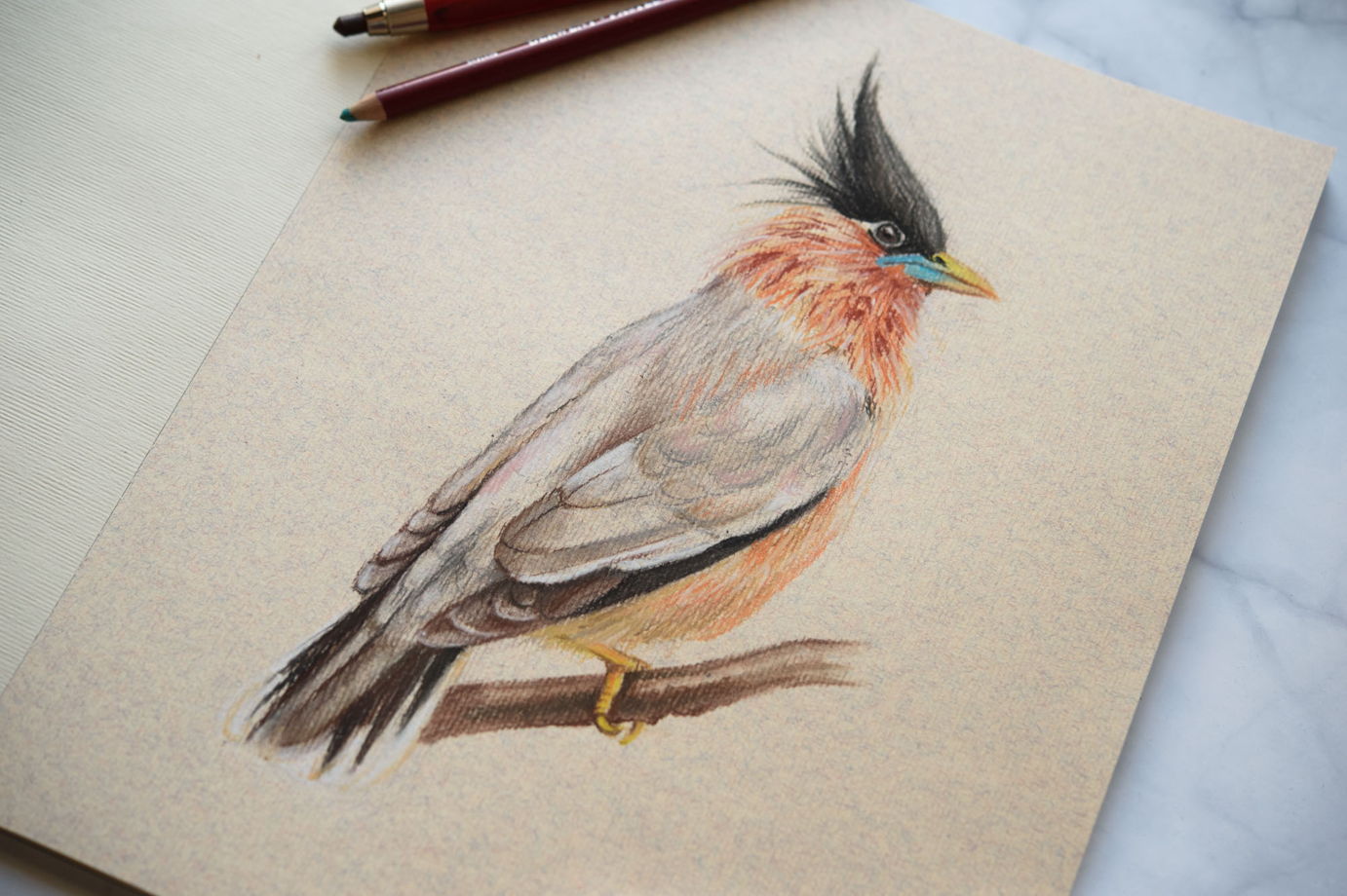 Рисунок птицы пастелью на бежевом фоне