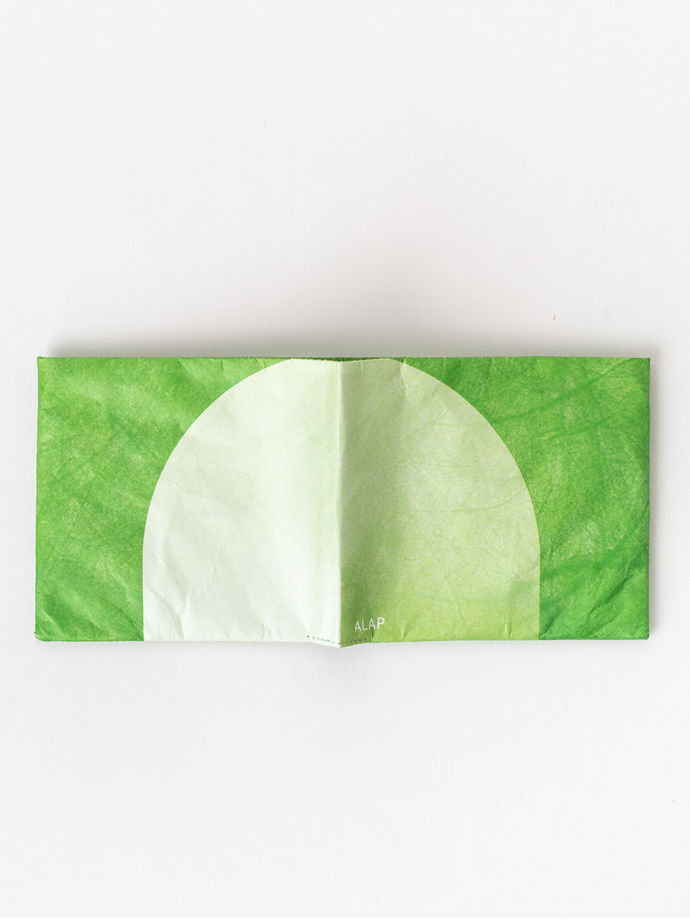 Бумажник ALAP для банкнот, карт, визиток из тайвека зелёный