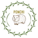 Ponchi Store