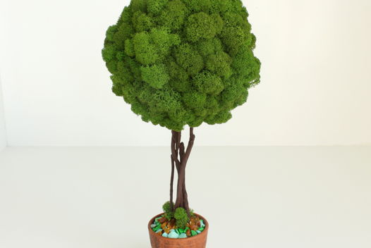 Топиарий из стабилизированного мха Интерьерное дерево