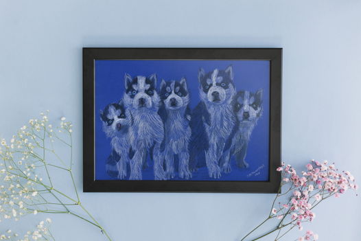 Портрет собаки цветными карандашами "Хаски"  (на заказ, по фото, любая порода)