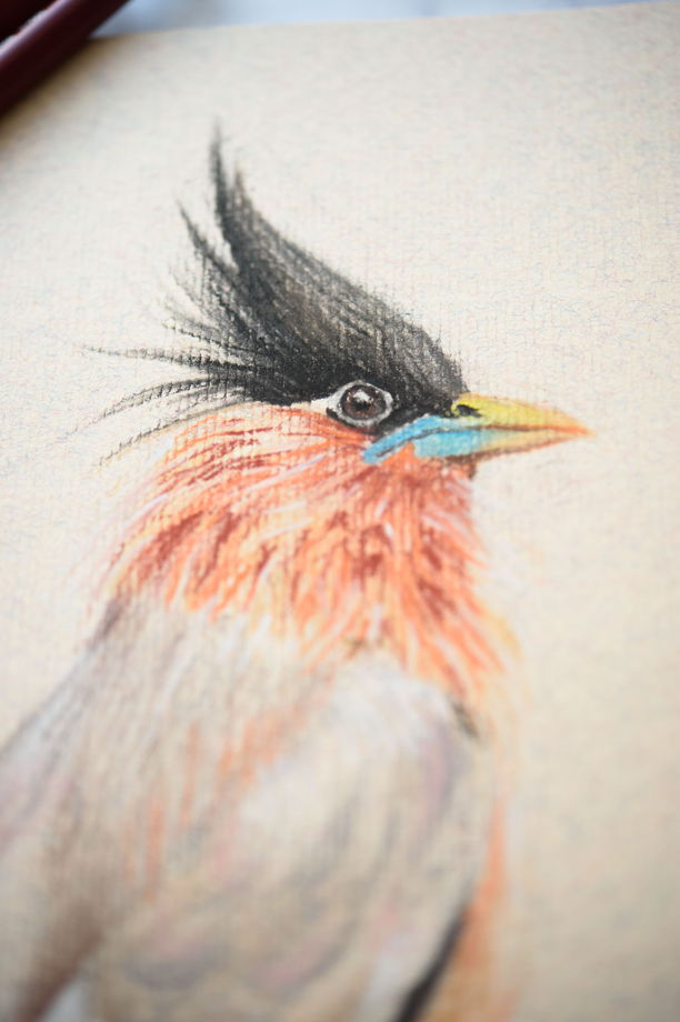 Рисунок птицы пастелью на бежевом фоне