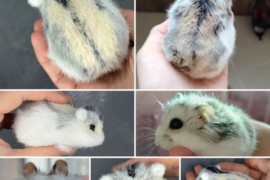 Вязаная игрушка реалистичный хомячок на заказ