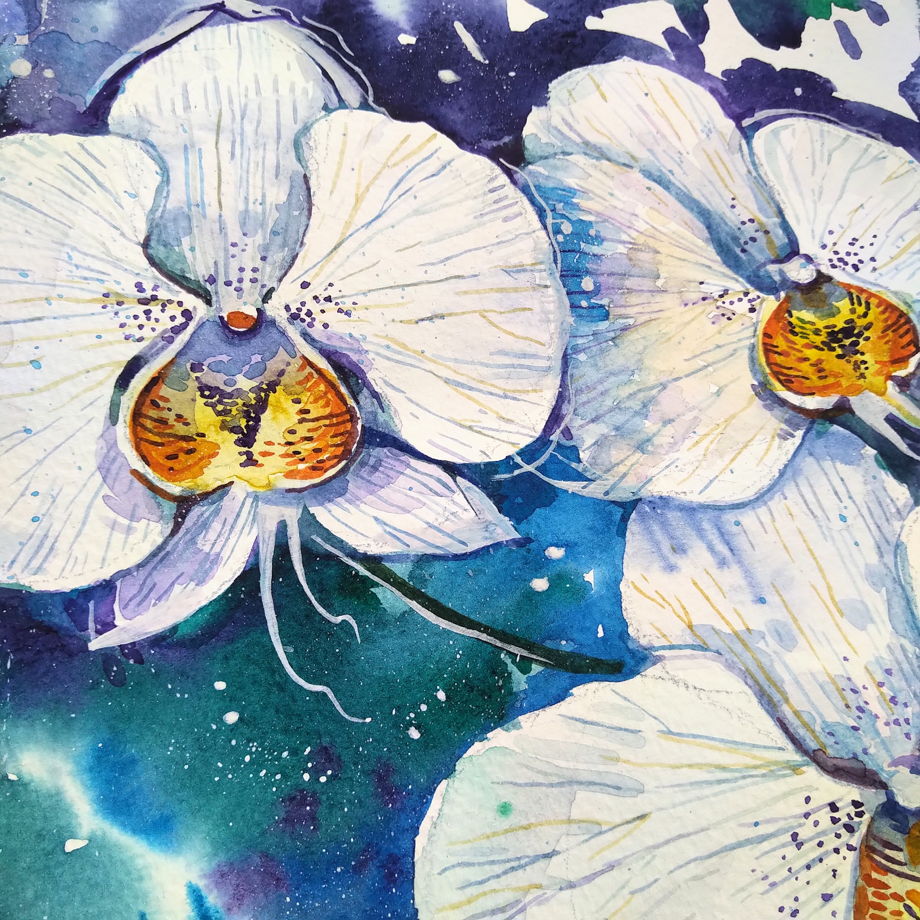 Акварельная картина "Белые орхидеи"