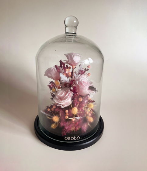 клош Жук в маленьком саду