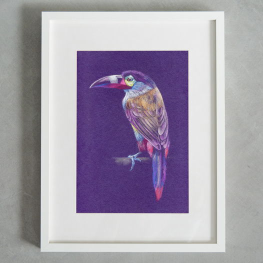 Картина пастелью "Тукан птица на фиолетовом фоне в интерьер