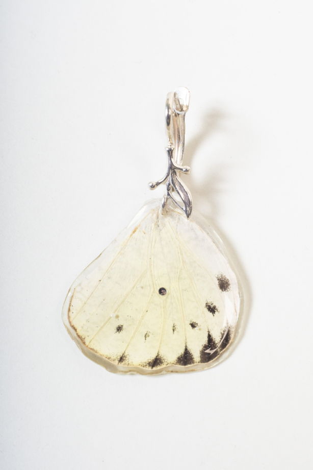 Белые серьги из крыльев бабочки капустницы