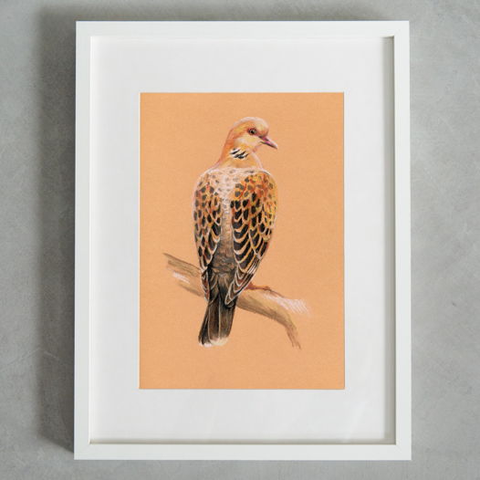 Картина пастелью птица в теплой гамме А4