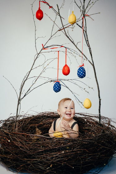Гнездо из натуральных веток берёзы для детей