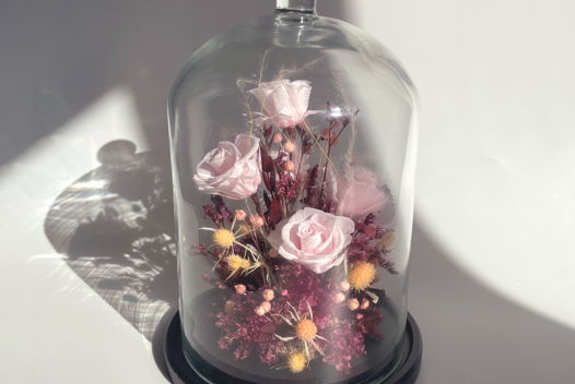 клош Маленький сад