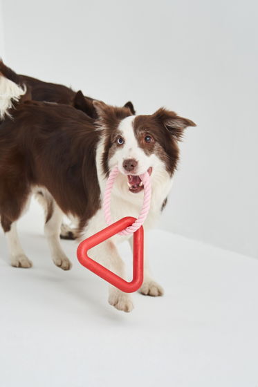 "Не просто треугольник" игрушка для собак крупных и средних пород в цвете "Настоящий красный"