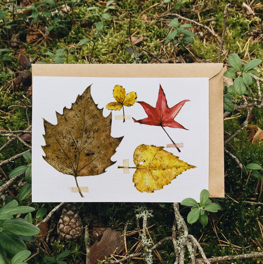 Почтовая открытка "Осенний гербарий", 10х15см