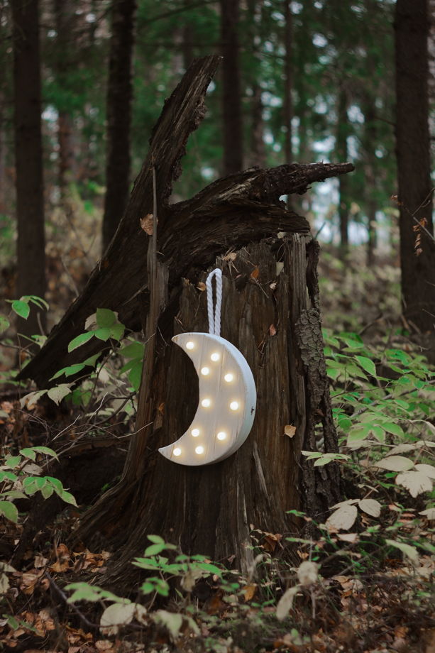 ЛУНА  — Авторский светильник, ночник из дерева ручной работы