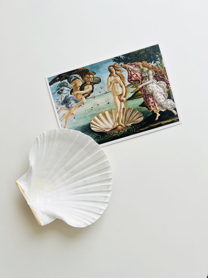 Подарочный набор бокс "Venus 3" чепчик с пайетками 55-56р, чокер, ракушка и открытка