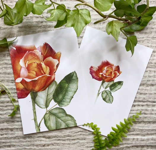 Две открытки · Роза · 14,7х10,5см
