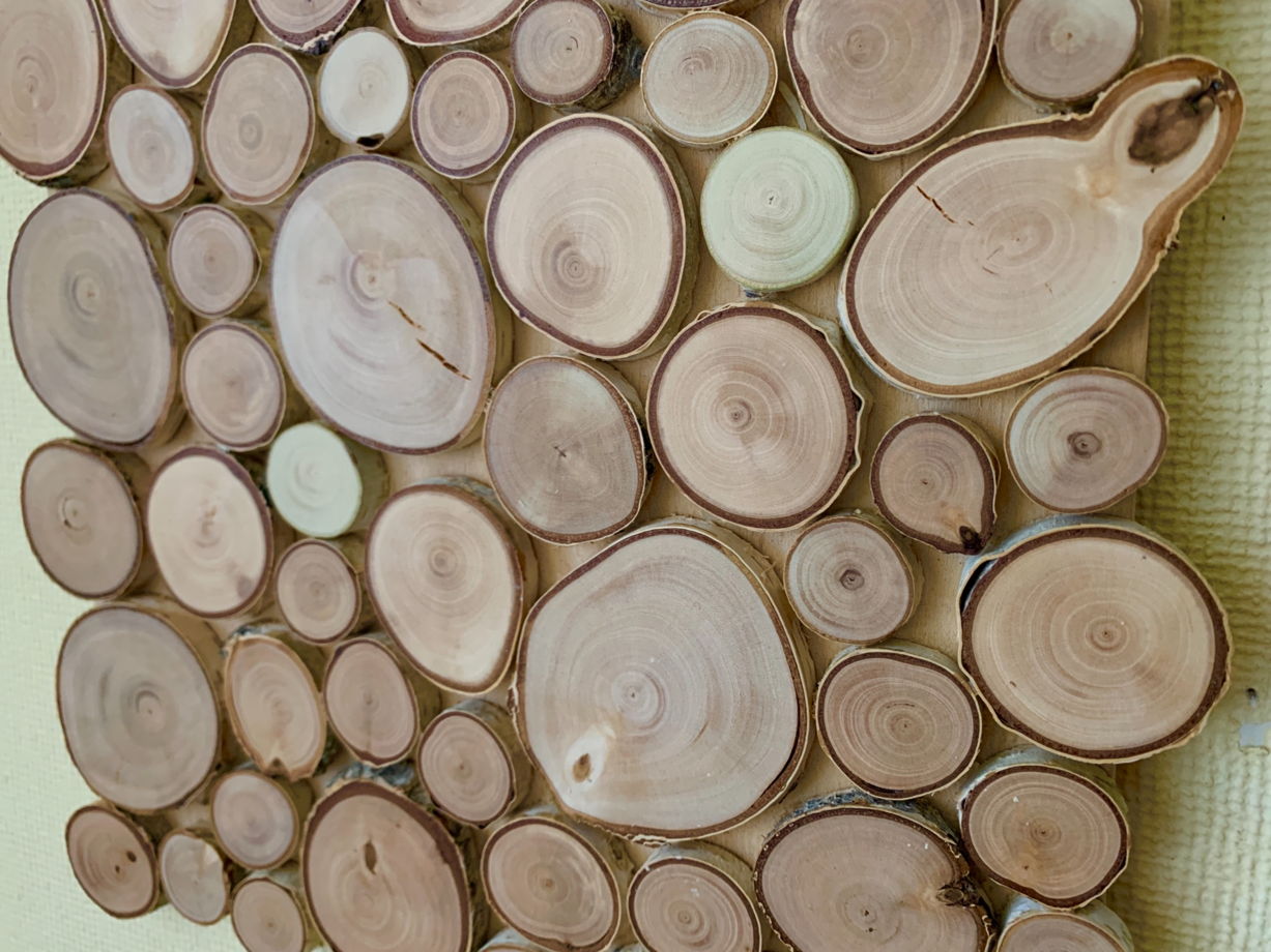 Панно деревянное из спилов березы 25*25 см ручной работы