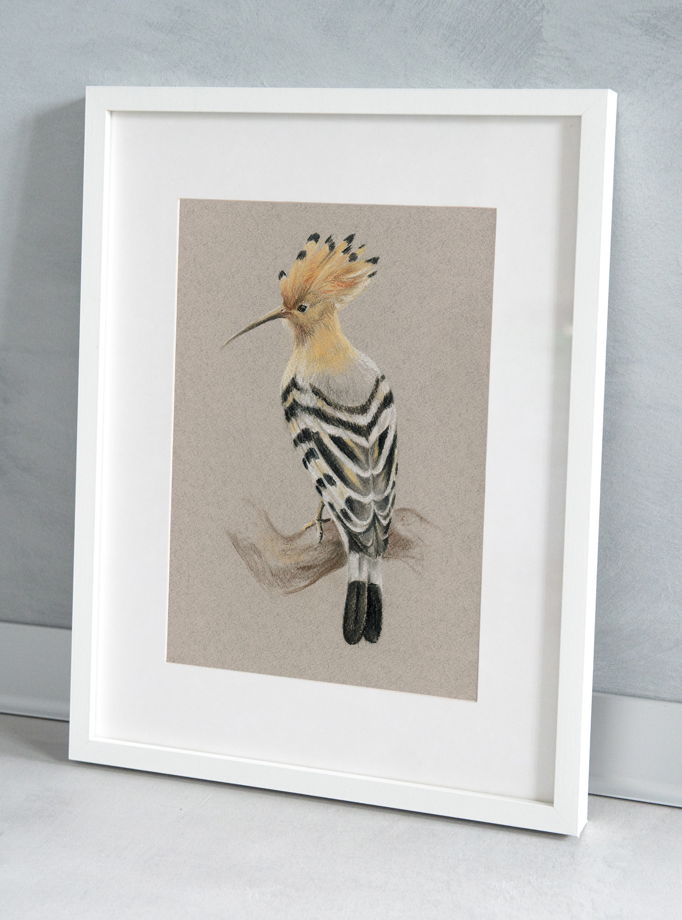 Рисунок пастелью "Удод" птица на сером фоне в интерьер